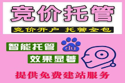 竞价SEM托管案例：广告投放的优化之道
